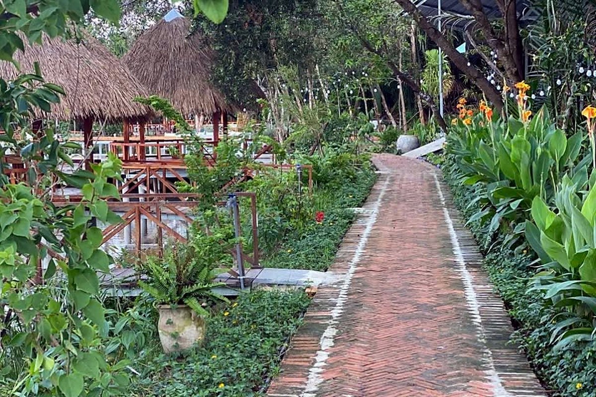 Ảnh minh hoạ: Khám phá Lotus